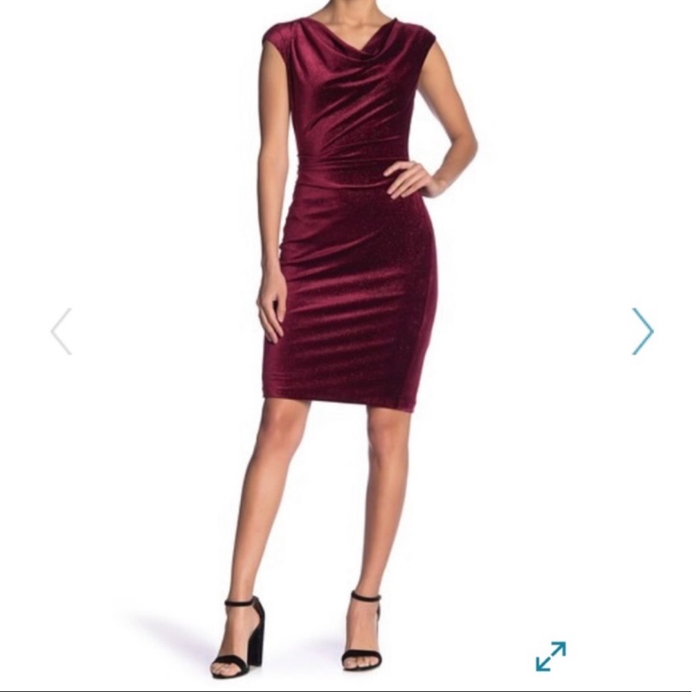 Eliza J Burgundy Velvet Dress